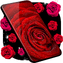 Red Rose 4K Live Wallpaper 