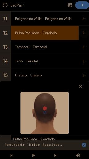 Biomagnetismo BioPair Voice Screen 3