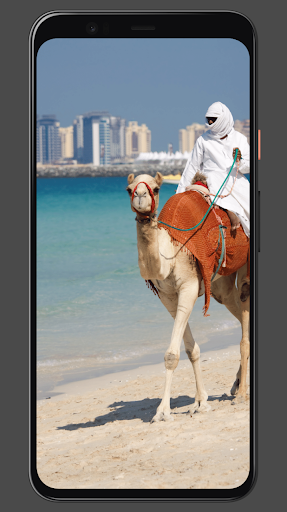 Android application UAE Wallpapers & Backgrounds screenshort