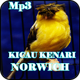 Kicau Kenari Norwich Gacor Mp3 icon