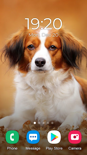 Animal Wallpaper 2025 screenshot 6