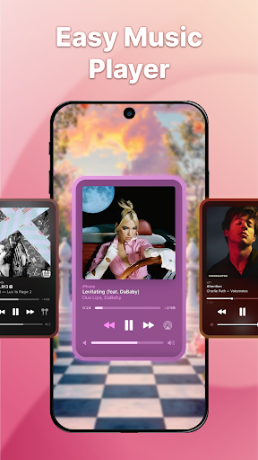 Control Panel: Widget & Theme screenshot 5