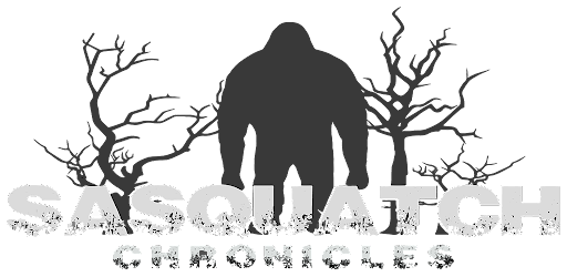 Sasquatch Chronicles - Rakendused Google Plays.
