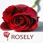 Cover Image of Herunterladen Rosely- Rose Flower wallpapers  APK