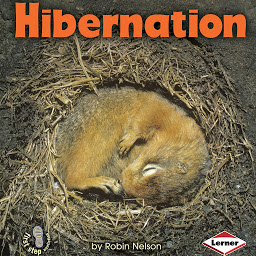 图标图片“Hibernation”