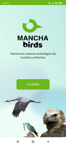 Android application ManchaBirds screenshort