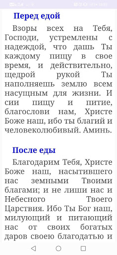 Книга православных молитв Screen 3