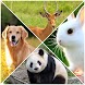 Learn and guess the animal - Androidアプリ