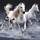 screenshot of Horses Jigsaw Puzzles