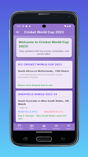 Live Cricket Score Screen 2