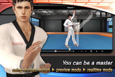 Taekwondo Poomsae Master