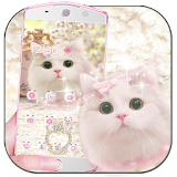 Cute pink kitty Theme icon
