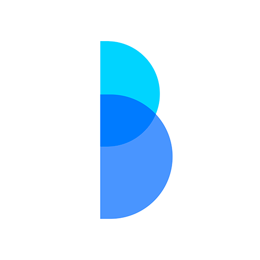Brainin logo