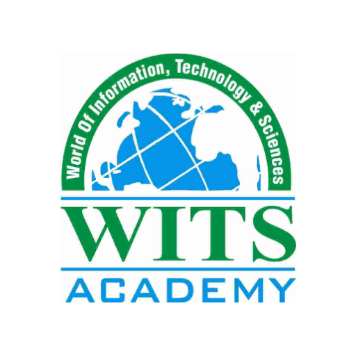 The WITS Academy High School logo