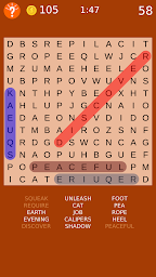 Word Search Puzzles