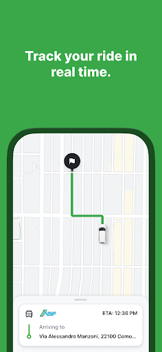 ASF FLEX screenshot 3