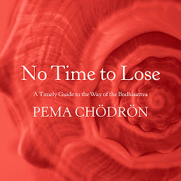 Icon image No Time to Lose: A Timely Guide to the Way of the Bodhisattva