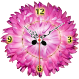Flowers Clock Live Wallpaper icon