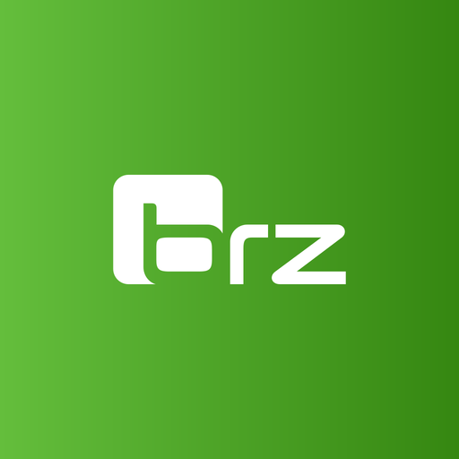 BRZ.LohnMobil Download on Windows