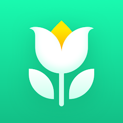 The Best Gardening and Plant Identification Apps