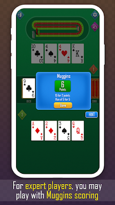 Cribbage classic card game - Screenshot 3