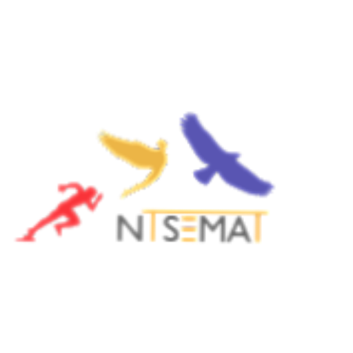 NTSE MAT logo