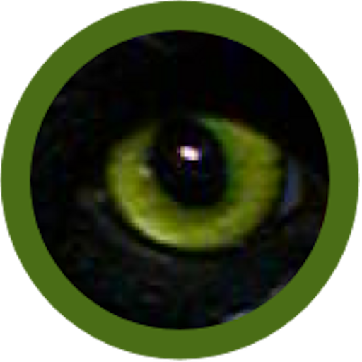 Just An Eye logo