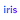iris: Dating powered by AI