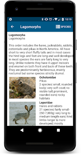 Stuarts North American Mammals Screenshot
