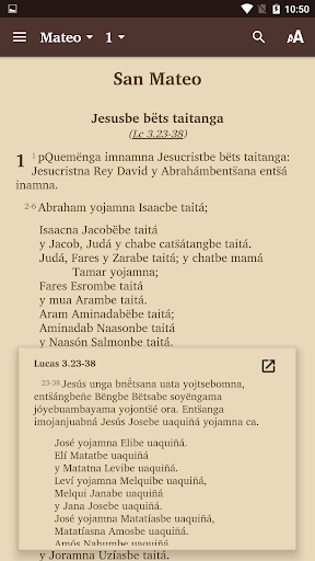 Camsá Bible Screen 2