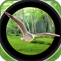 Forest 3D Birds Hunting - Снайперская стрельба