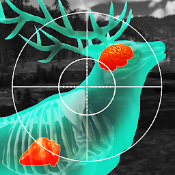 Wild Hunt: Hunting Games 3D հավելվածի պատկերակի նկար