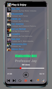 Professor Jay - Siku 462