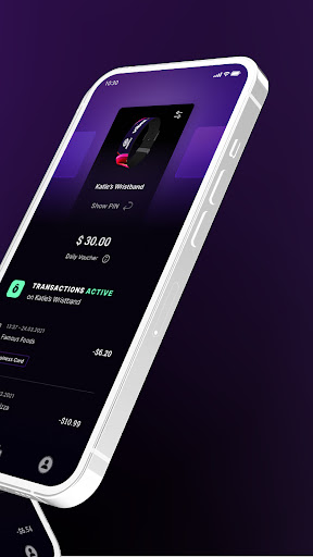 Vibee Pay Screen 2