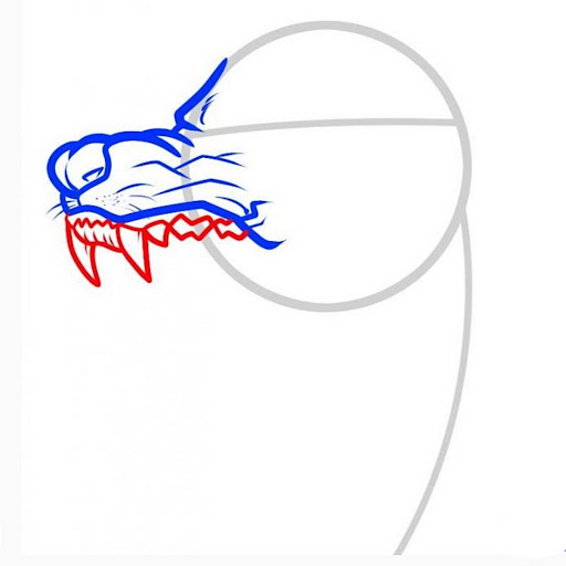 How to draw wolves