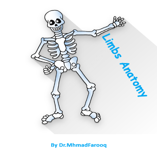 Orthopedic Anatomy logo