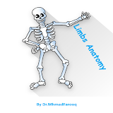 Limbs Anatomy | Human Anatomy icon