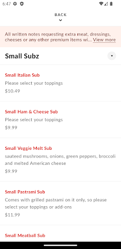 The Pizza Guyz Screen 3