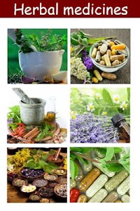 Herbal medicines plant Unknown