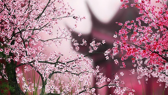 Sakura Live Wallpaper Screenshot