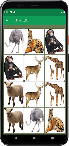 Animal Memory Matching Game Screen 3