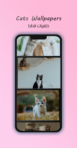 Android application 4K Cats Wallpapers screenshort
