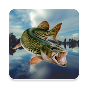 Fishing in Yerky v4.5.2 Mod (Unlimited Money) Apk