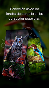 Screenshot 1 Fondos 4K con pájaros android
