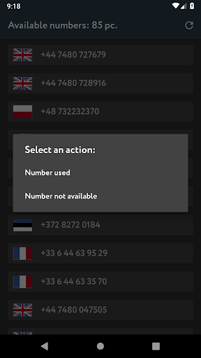 Online SMS Receive Screen 2
