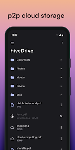 hiveDrive