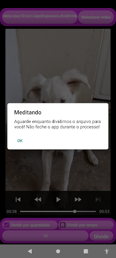 Dividir Vídeos Screen 3