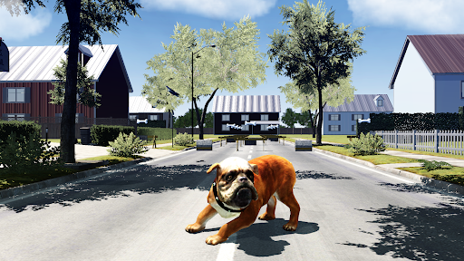 Bull Dog Simulator Screen 3