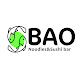 BAO NOODLES Windows'ta İndir