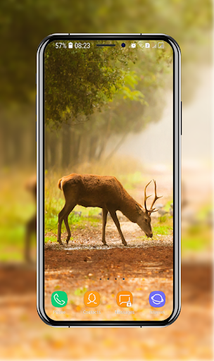 10000 Nature Wallpaper